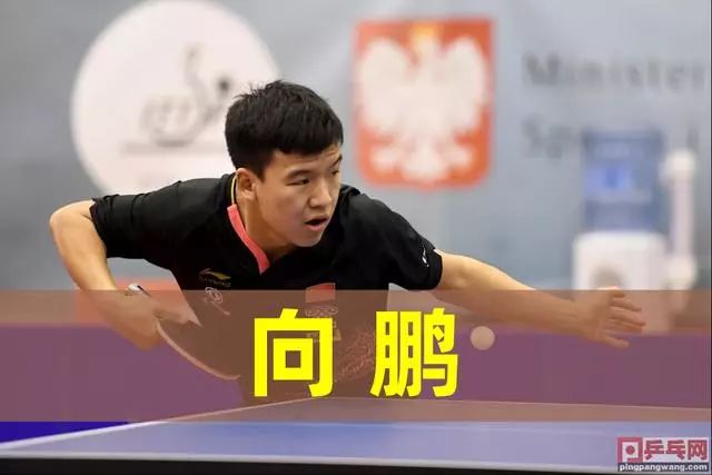 了一场不可 了一场不可