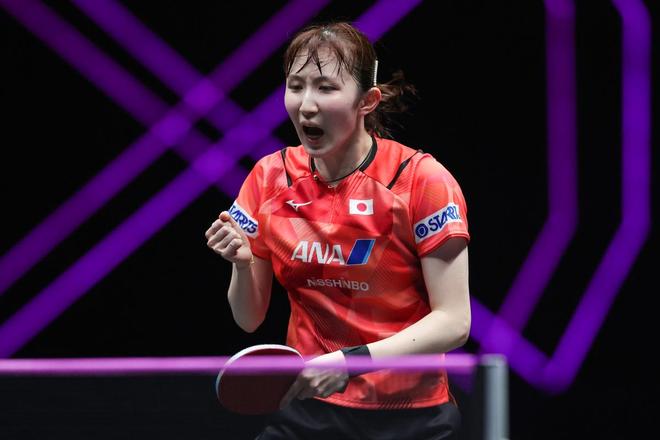 小萨博尼斯 小萨博尼斯