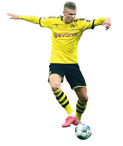 优化BP优 优化BP优